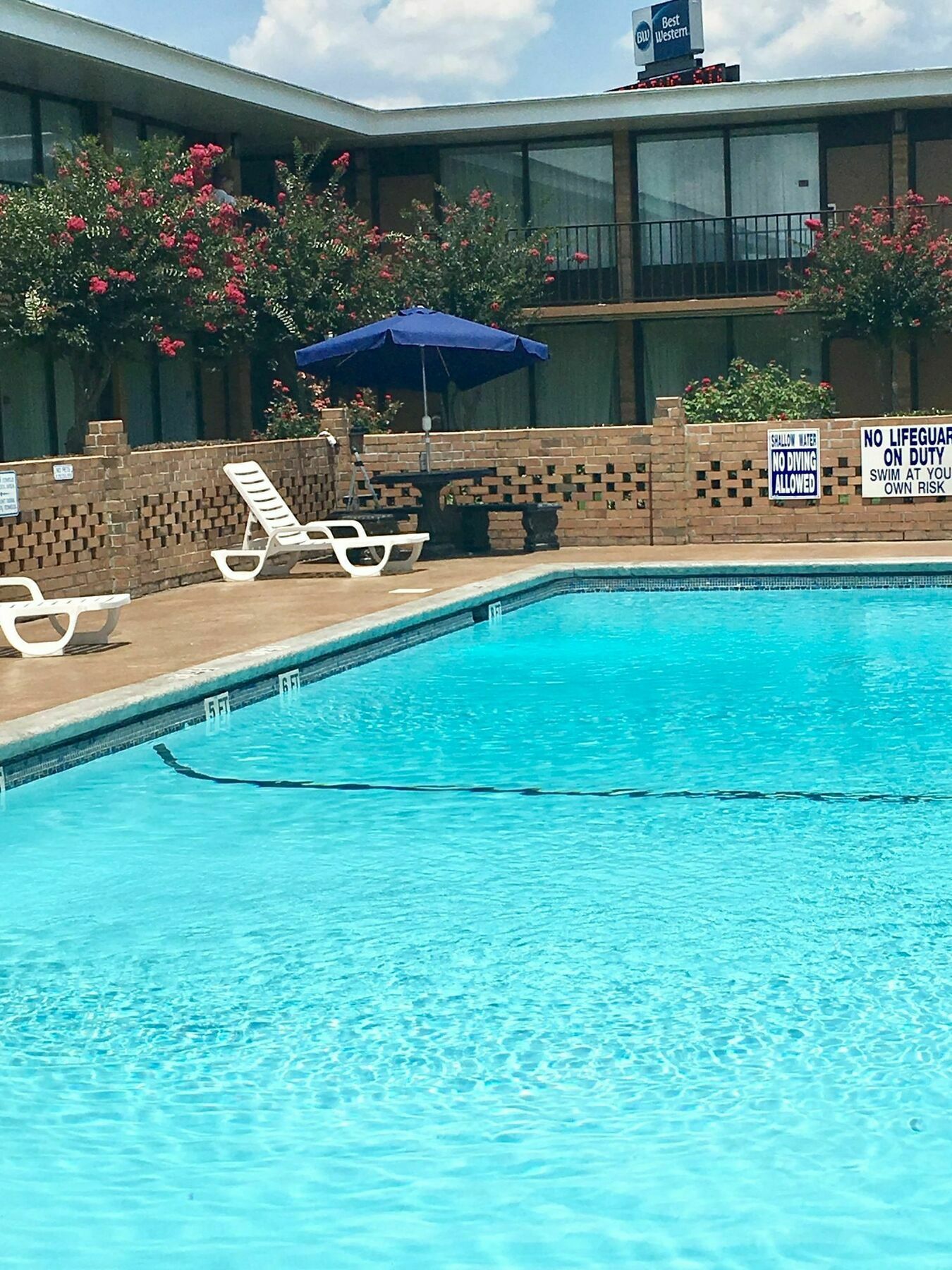 Best Western Greenville Airport Buitenkant foto